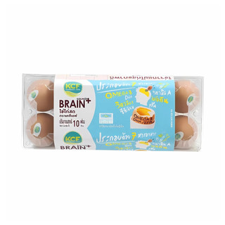 เคซีเอฟ ไข่ไก่เบรนพลัส KCF Brain Plus Eggs Pack 10Egg