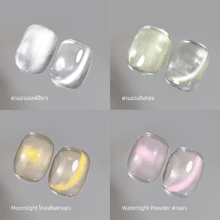 DANZHIHE สีเจล (อบ) Super Glossy Nude Cat Eye Gel ยาทาเล็บ เงางาม สีสันสดใส เหมาะสำหรับการทำเล็บ