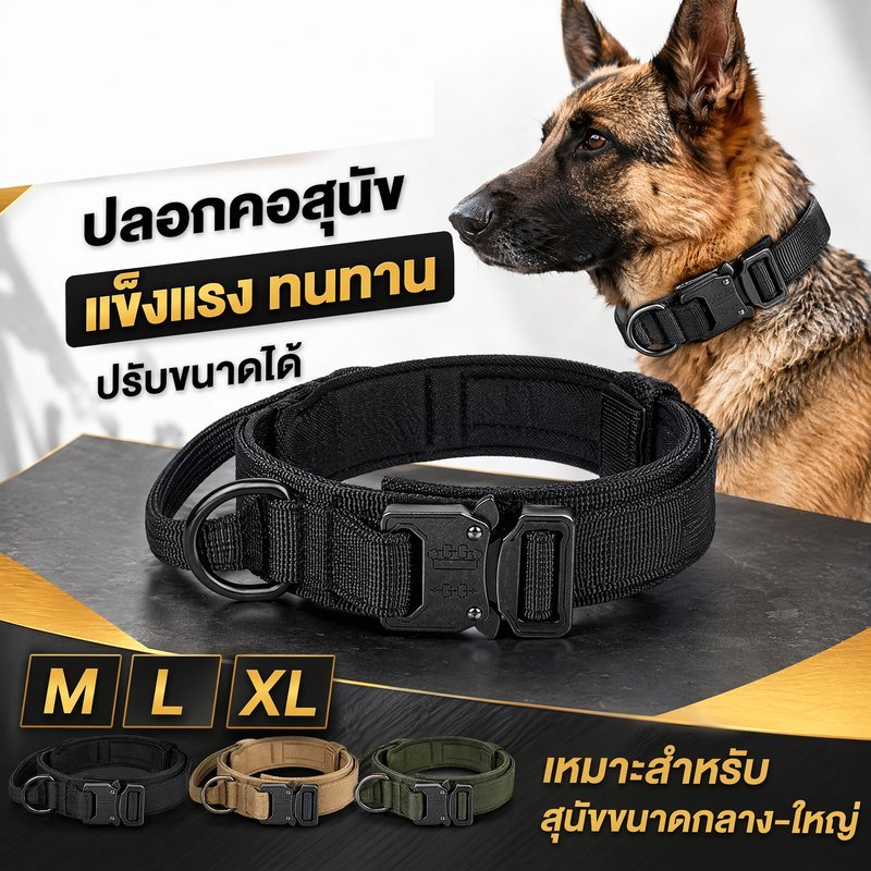 ปลอกคอสุนัข ไนลอนหนา ปรับได้ แข็งแรง หัวเข็มขัดโลหะ D ring ด้ามจับ สุนัขกลางใหญ่