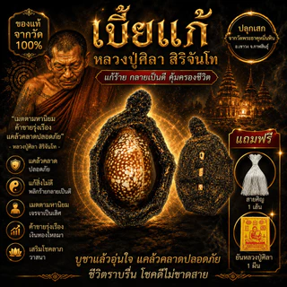 เบี้ยแก้จน แก้หนี้ การันตีของแท้ จากธรรมอุทยาน วัดพระธาตุหมื่นหิน พร้อม สายสิณและบทสวดหลวงปู่ศิลา