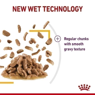 ( รวมรส 12 ซอง ) Royal Canin โรยัล คานิน Sensory multi Pack รวม 3 แบบ Taste Smell Feel เปียกแมว
