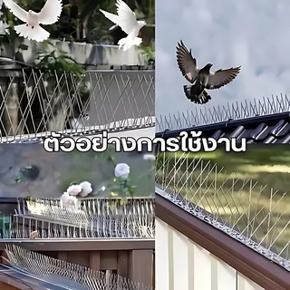 🐦10 ชุด อุปกรณ์ไล่นก หนามสแตนเลส 304 ยาว 50 ซม. มี 60 หนาม ป้องกันนกและนกพิราบมาอาศัยได้เป็นอย่างดี