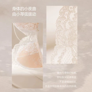 🎀bearbra🎀ฝรั่งเศส เสื้อชั้นในลูกไม้ ถ้วยสามเหลี่ยม สายเสื้อบาง ดันทรง สไตล์เซ็กซี่