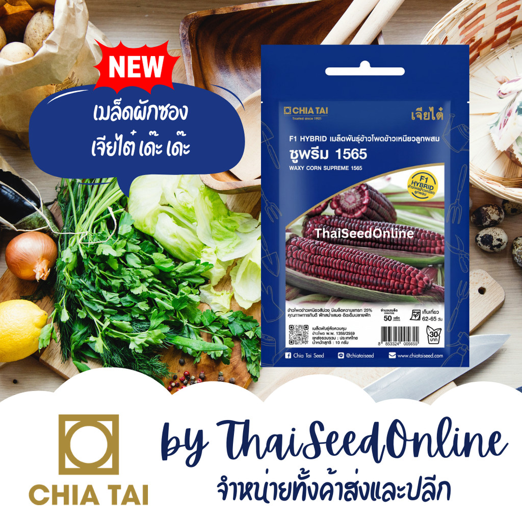 CTSE เมล็ดพันธุ์ ข้าวโพด ข้าวเหนียว ซูพรีม 156510กรัม ตราเจียไต๋ Waxy Corn Supreme
