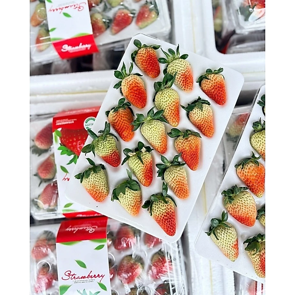 ส่งด่วน 4 ชม. สตอเบอร์รี่จีน สตอเบอร์รี่นำเข้าจากประเทศจีน แพ็คละ 15 ลูก หวานอมเปรี้ยว น้ำหนัก 350 กรัม ตู้ใหม่ สวย สด