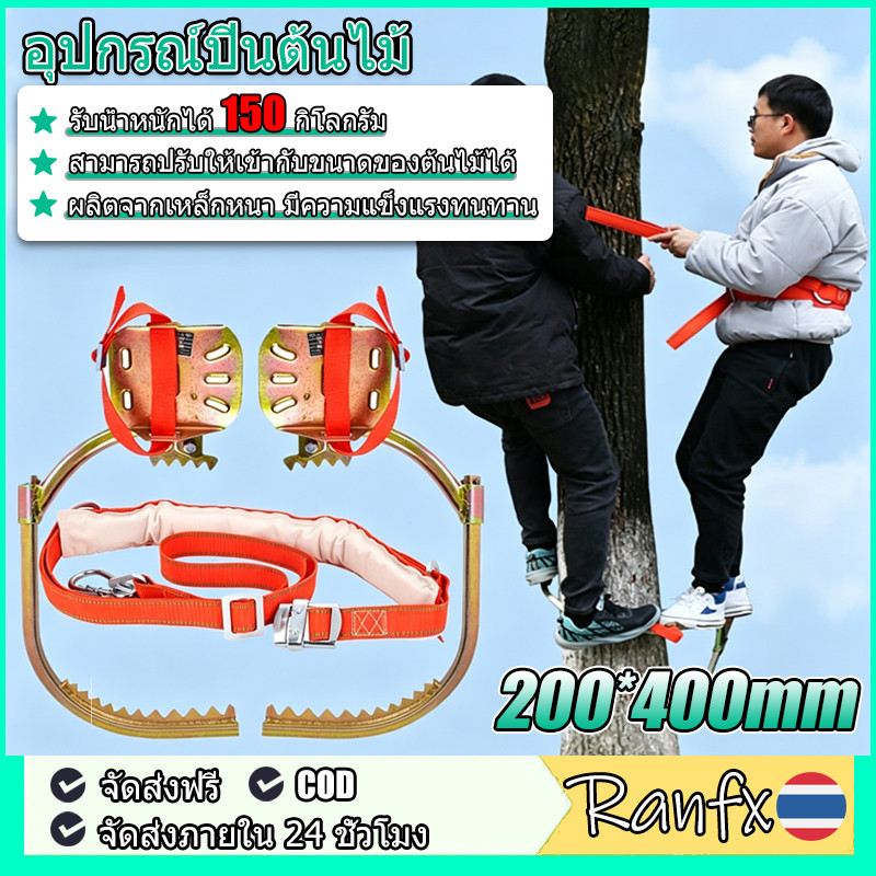 【COD】อุปกรณ์ปีนต้นไม้ อุปกรณ์ปีนเสาไม้ รองเท้าปีนต้นไม้ เข็มขัดนิรภัย เครื่องมือปีนต้นไม้ ปีนเสาช่วงที่ปรับได้ 200*400mm
