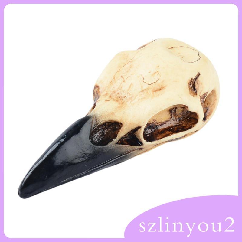 Raven Skull Decor, เครื่องประดับ Raven Skull, ตกแต่ง, สร้อยคอโกธิค, เรซิ่น, จี้นก Skull, รูปปั้น Rav