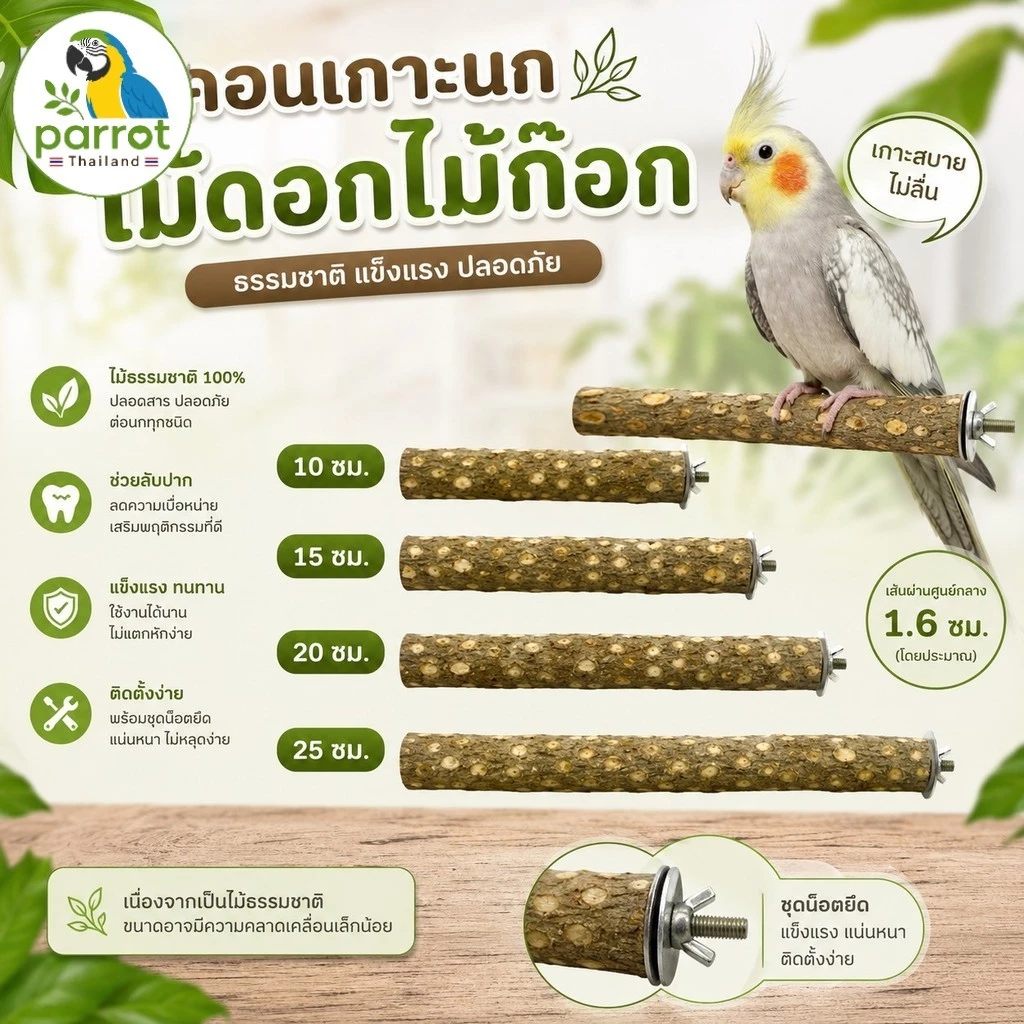 parrot.thailand คอนนก ไม้ดอกไม้ก๊อกแท้ คอนไม้ธรรมชาติ ลับเล็บ ลับปากนกแก้ว มีน็อตติดตั้งง่าย มี 4 ขนาด