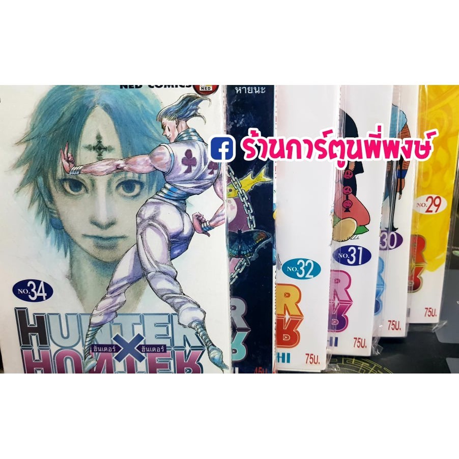 ฮันเตอร์ x ฮันเตอร์ แยกเล่ม 29-37 (23/5/69) หนังสือ การ์ตูน มังงะ HunterXHunter ฮันเตอร์xฮันเตอร์ Hunter ned