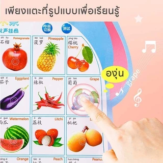 โปสเตอร์พูดได้ ของเล่นเสริมพัฒนาการ เด็กเล็ก 3ภาษา ไทย อังกฤษ จีน abc ตัวเลข สัตว์ ผลไม้ ติดผนัง