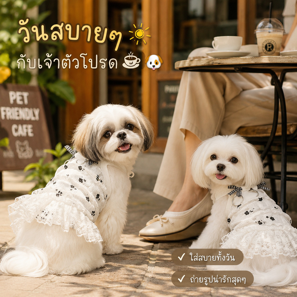 เดรสโลลิต้าสัตว์เลี้ยง ลูกไม้โบว์ สำหรับแมวสุนัข ไซส์ XS-2XL