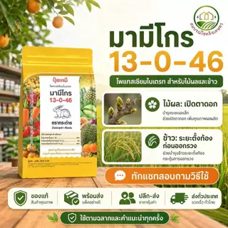 (ยกลัง 5/10 กก) มามีโกร 13-0-46 ปุ๋ยเกล็ด ตรากระต่าย ละลายน้ำได้ดีเยี่ยม ดูดซึมได้ทั้งทางรากและทางใบ
