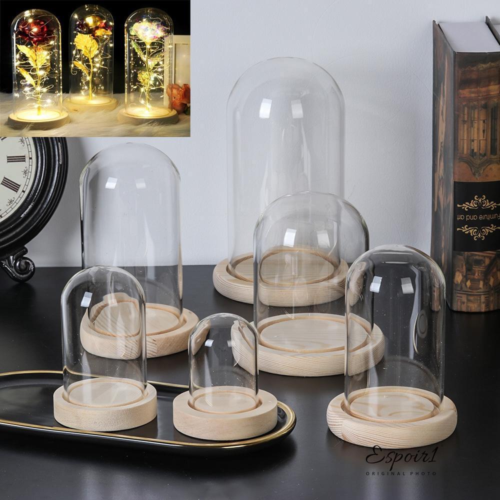 ESPOIR1 ฝาครอบกันฝุ่นไฟนางฟ้า Terrarium โต๊ะ Terrarium แจกันแก้ว Jar กล่องเก็บดอกไม้