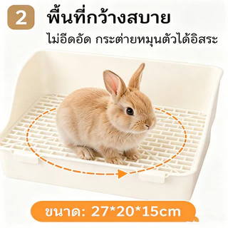 ห้องน้ํากระต่าย กระบะกระต่าย ของใช้กระต่าย ป้องกันการสาดน้ำ ถอดได้ ทำความสะอาดง่าย ถาดรองฉี่กระต่าย