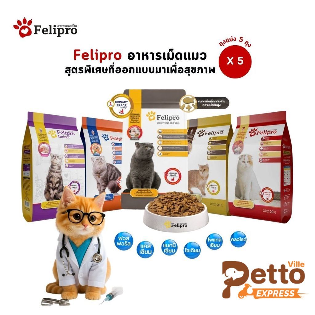 Felipro เฟลิโปร อาหารเม็ดแมว [5 ถุง] สูตรพิเศษที่ออกแบบมาเพื่อสุขภาพที่ดีของแมวทุกสายพันธุ์ ขนาด 1 กิโลกรัม (ถุงแบ่ง)