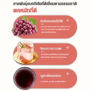 ผลไม้ ผงยีสต์ แอลกอฮอล์หมักในครัวเรือน เนื้อผลไม้สด ประเภทบ้าน สายพันธุ์คุณภาพสูง พืชคุณภาพสูง ยีสต์ ยีสต์ไวน์ผลไม้ รสชาติที่เป็นเอกลักษณ์ ผู้ใช้ที่บ้าน