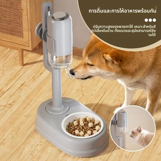 ที่ให้อาหารสัตว์เลี้ยง ที่ให้น้ำสัตว์เลี้ยง 2IN1 ชามอาหารหมา ชามข้าวแมว Pet Water Bowl ชามอาหารแมว