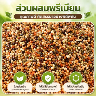 🦜อาหารนกแก้ว อาหารนกข้าวฟ่างห้าสี อาหารนกลูกป้อน ผสมธัญพืชอาหารนกแก้ว นกแก้วส่วนใหญ่เหมาะสม