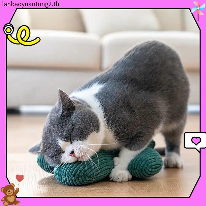 Cactus fun cat toy จาก hi catnip toy ของเล่นแมวแมวเพื่อคลายความเบื่อและกัดอุปกรณ์แมว