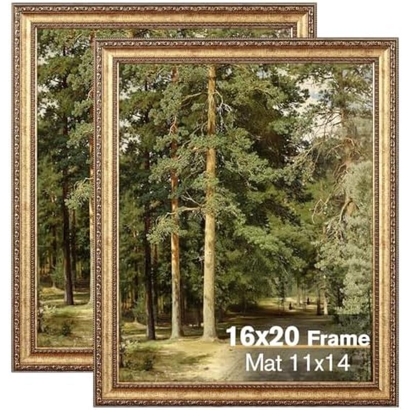 11x14 แพ็ค 16x20 ผนัง 2 โต๊ะ 16x20 กรอบรูปพร้อม Plexialass, Ornate พร้อมโปสเตอร์ Splinterix สําหรับจ