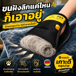 Petclear ถุงมือเก็บขนสัตว์เลี้ยง แปรงขนแมว กำจัดขนหมา ขนแมวบนผ้า ใช้งานง่าย