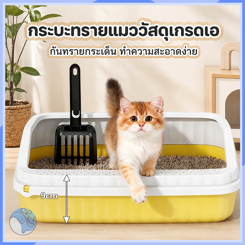 กระบะทรายแมวขนาดใหญ่ ขอบสูงป้องกันทรายกระเด็น มีหลายทรงและขนาดให้เลือก