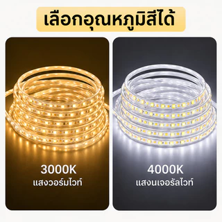 ไฟเส้น LED 5730 สว่างพิเศษ กันน้ำ IP67 ไฟเส้น 220V แถวคู่ 120/เมตร สำหรับบ้าน ร้านค้า และงานกลางแจ้ง พร้อมปลั๊กและหัวปิด