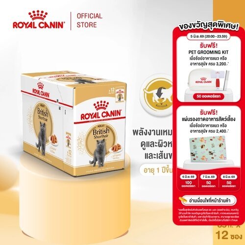 [ยกกล่อง 12 ซอง] Royal Canin British Shorthair Pouch Gravy โรยัล คานิน อาหารเปียกพันธุ์บริติชชอร์ทแฮร์ อายุ 12 เดือนขึ้น