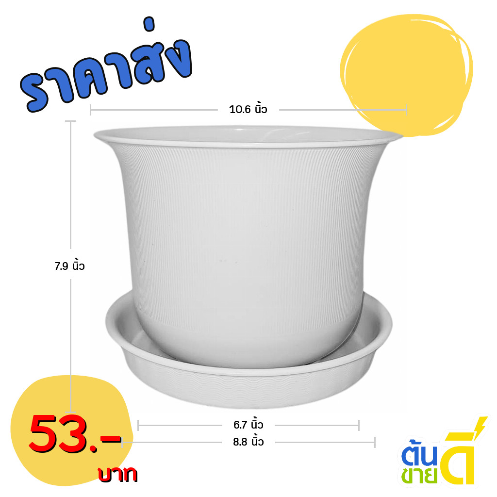 กระถางต้นไม้ มินิมอล ถ้วยจีน+จาน ขนาด 10 11 นิ้ว สีขาว ขั้นต่ำ 2 ใบ ชิ้น อัน