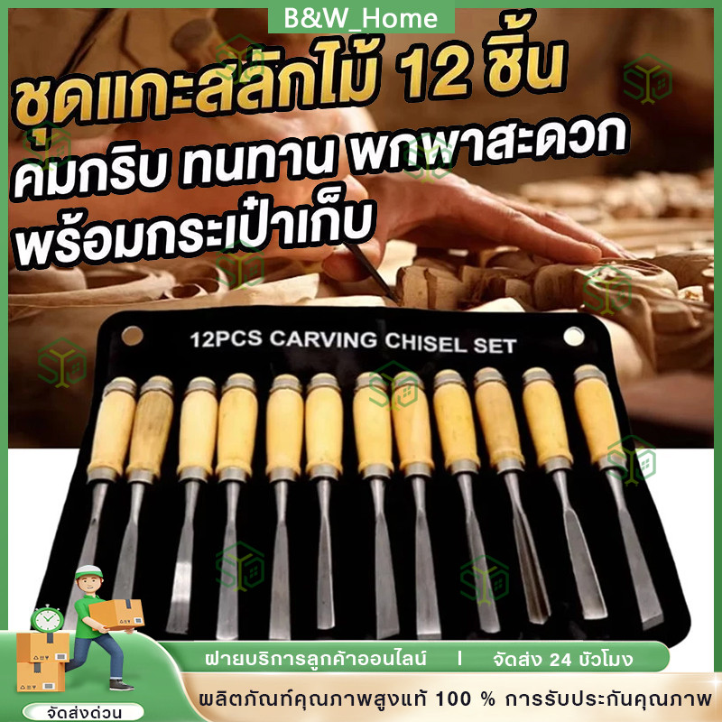 ชุดสิ่วแกะสลักไม้ แบบมืออาชีพ สําหรับงานไม้ 12 ชิ้น
