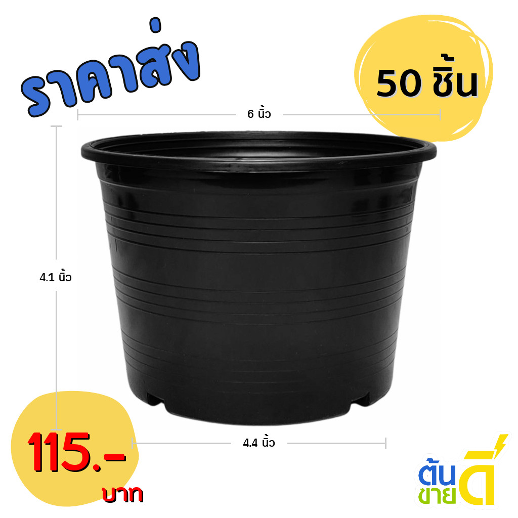 กระถาง กระถางพลาสติก กระถางต้นไม้ เบอร์ 6 นิ้ว สีดำ ยกมัด 50 ใบ ชิ้น