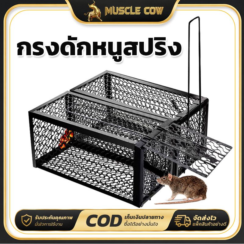 MUSCLE COW ขายร้อนใหม่ กรงดักหนูสปริงคุณภาพสูง กรอบหนา กรงดักหนูพร้อมกรอบ กรงดักหนูสปริงคู่ กรงดักหนูฟาร์ม