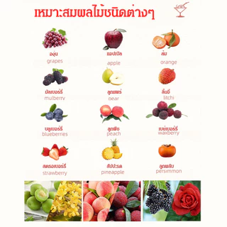 ผลไม้ ผงยีสต์ แอลกอฮอล์หมักในครัวเรือน เนื้อผลไม้สด ประเภทบ้าน สายพันธุ์คุณภาพสูง พืชคุณภาพสูง ยีสต์ ยีสต์ไวน์ผลไม้ รสชาติที่เป็นเอกลักษณ์ ผู้ใช้ที่บ้าน