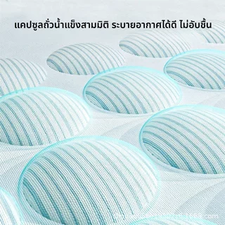 BHQ เบาะเย็นแมว ที่นอนสัตว์เลี้ยง เตียงสุนัข 60cm เย็นสบาย น่ารัก กันความชื้น กันลื่น