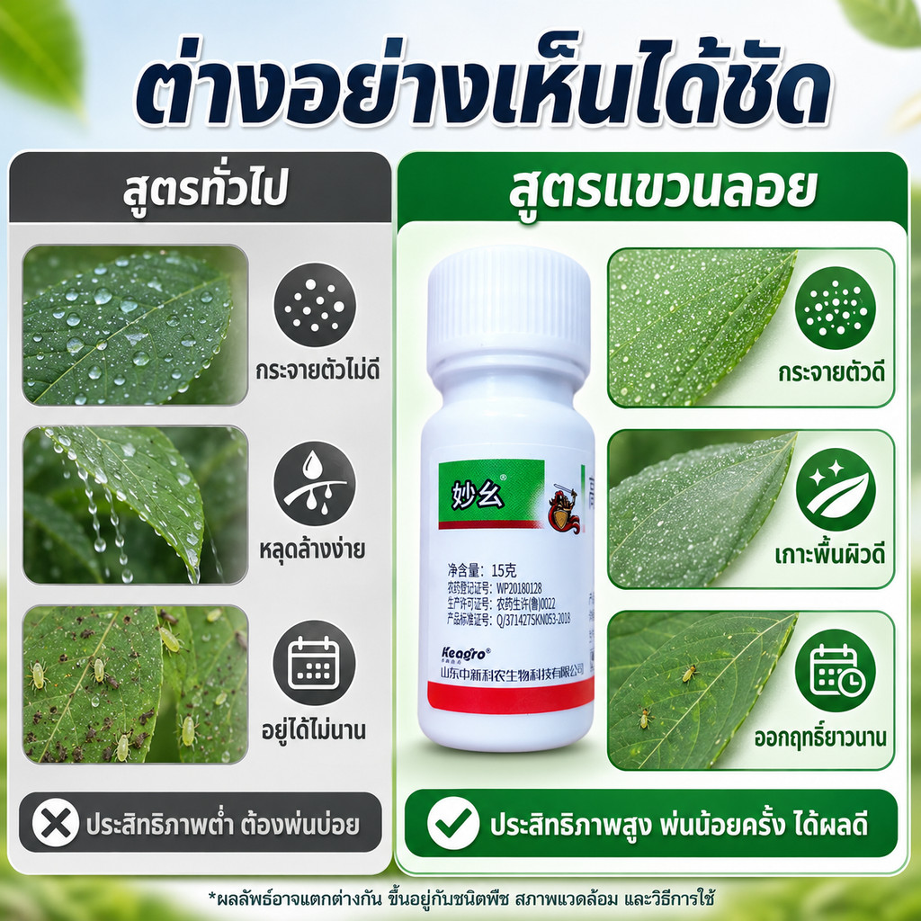 น้ำยาจัดการแมลง 7.5% 15กรัม สูตรผสมน้ำฉีดพ่น รูปที่ 6