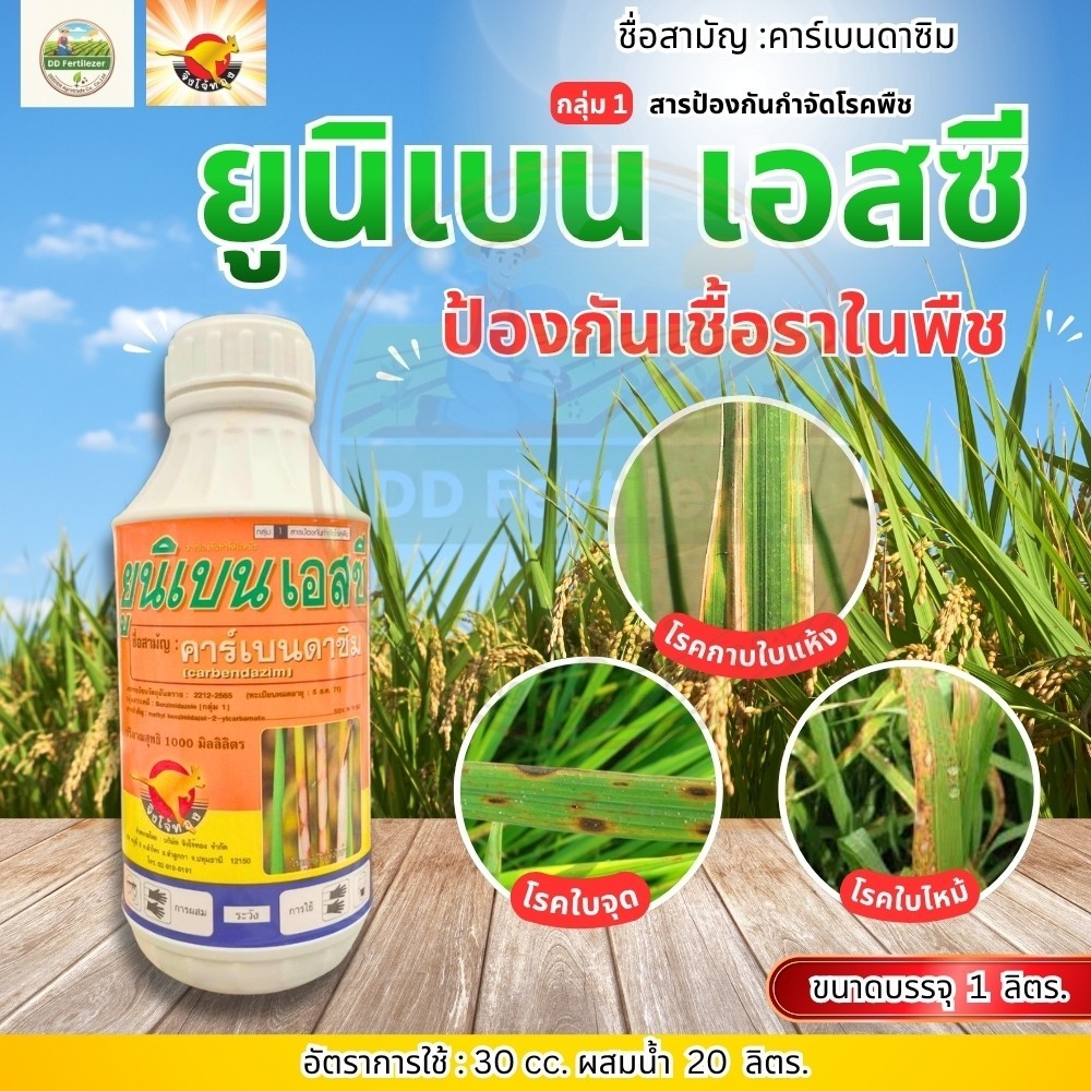 ยูนิเบน คาร์เบนดาซิม carbendazim 50% SC ขนาด 1 ลิตร  ป้องกันกำจัดโรคเช่น โรคใบไหม้โรคกาบใบแห้ง โรคใบจุด จิงโจ้ทอง