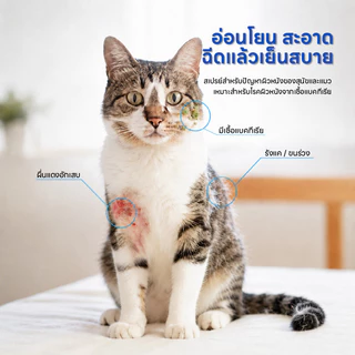 Doge&Orange สเปรย์ผิวหนังสัตว์เลี้ยง ปลอดภัย ไม่ระคายเคืองผิว สูตรธรรมชาติ เลียได้ ใช้ได้ทั้งสุนัขและแมว 100มล. PU307