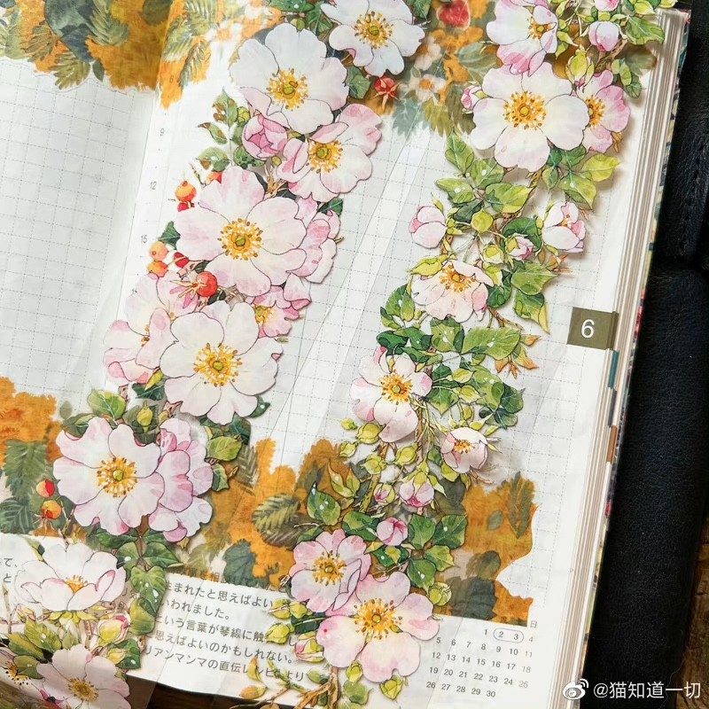 [บรรจุภัณฑ์แยก] Cat Knows Everything-All-Match Flowers ที่ Windows of Teenagers Fresh Handbook pet W