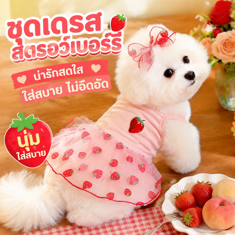 ชุดเดรสแมว ชุดเดรสหมา ลายสตรอว์เบอร์รี่ ผ้าตาข่าย ระบายอากาศ โบว์ถอดได้ น่ารัก ฤดูร้อน