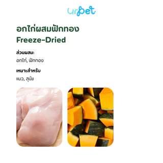 อกไก่ผสมฟักทอง Freeze-Dried ฟรีซดราย สุนัขและแมว เกรดพรีเมียม 50g GUMMI BITES