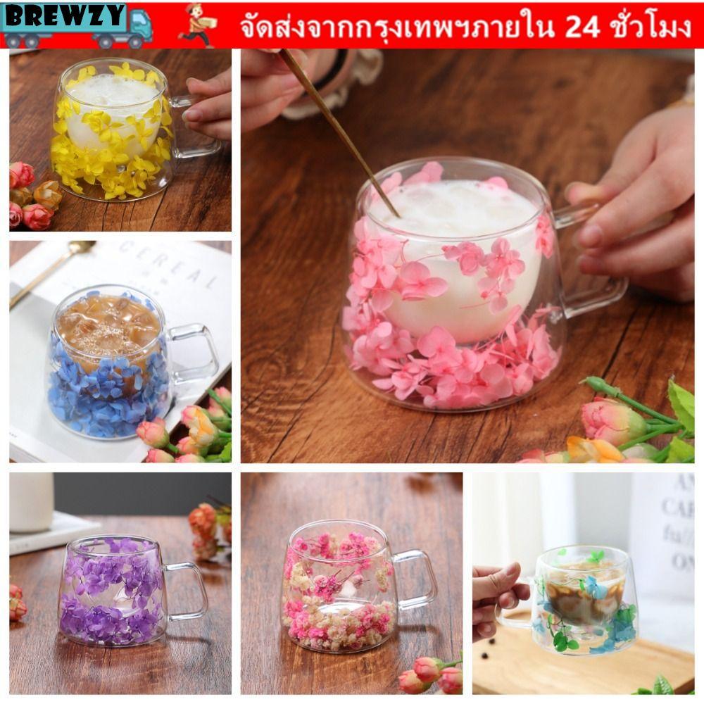 BREWZY ถ้วยแก้วสองชั้น,จําลองดอกไม้แก้วกาแฟสองชั้น,พร้อมที่จับคาปูชิโน่ฉนวนถ้วยลาเต้บ้าน