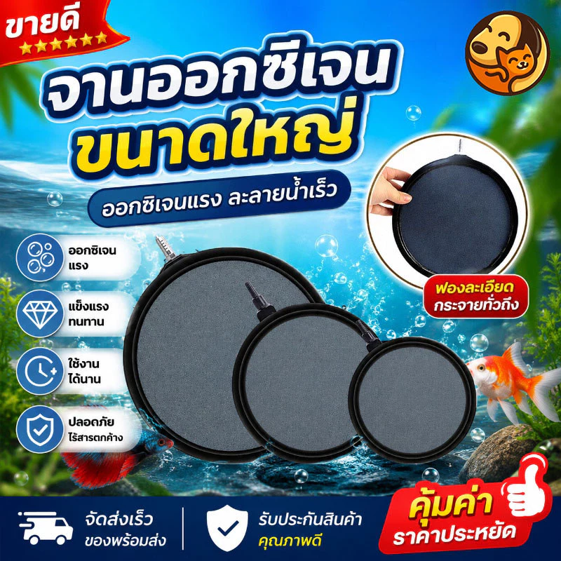 จานทรายอ๊อกซิเจน ขนาด 4 นิ้ว / 5 นิ้ว / 8 นิ้ว หัวทรายจานเพิ่มออกซิเจน เหมาะสำหรับตู้ปลาและบ่อเลี้ยงปลา