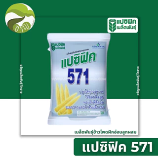 เมล็ดพันธุ์ ข้าวโพดฝักอ่อน ลูกผสม ข้าวโพด แปซิฟิค 571 ตรา แปซิฟิค
