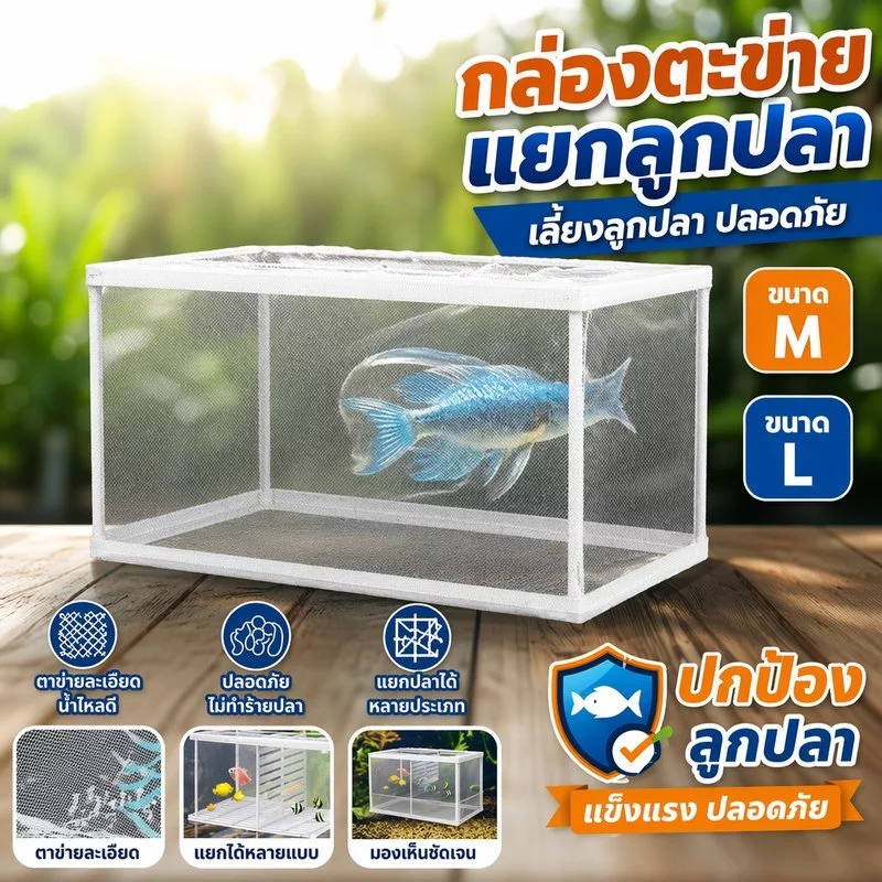 กล่องแยกลูกปลา กล่องเพาะพันธุ์ปลา ตู้อนุบาลปลา ตาข่ายใส