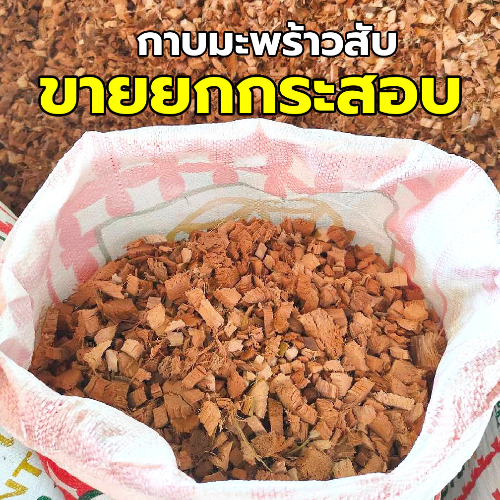 กาบมะพร้าวสับ (ยกกระสอบใหญ่ 12-13kg.) กาบจากเปลือกมะพร้าว เปลือกมะพร้าวสับ มะพร้าวสับ ทำให้ดินโปร่ง