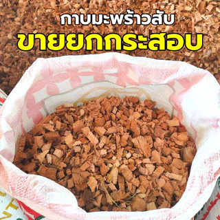 กาบมะพร้าวสับ (ยกกระสอบใหญ่ 12-13kg.) กาบจากเปลือกมะพร้าว เปลือกมะพร้าวสับ มะพร้าวสับ ทำให้ดินโปร่ง