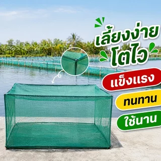 กระชังลูกปลา กระชังปลา ตาข่ายไนลอน 3 มม เลี้ยงปลา เลี้ยงกุ้ง เลี้ยงหอย เลี้ยงปู บ่อปลา