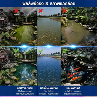 🔥โปรโมชั่นพิเศษ🔥ราชาบำบัดน้ำในบ่อปลา/ เม็ดฟอกน้ำ ยูเล่อเป่า/ทำให้น้ำสะอาด/เม็ดบำบัดใส/จุลินทรีย์ปรับสภาพใส/กำจัดขี้ปลา ลดกลิ่นคาว/ลดตะกอน/ปรับให้ใส/เหมาะสำหรับบ่อปลา/ตู้ปลา/ผลิตภัณฑ์ปรับสภาพบ่อปลา