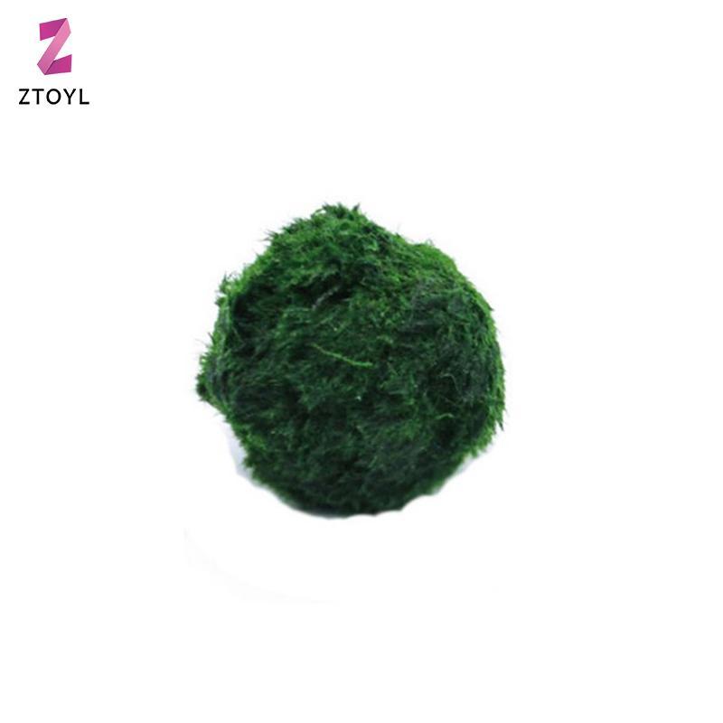 [ZTO-t] 3-4 ซม. Marimo Moss Balls Live Aquarium พืชสาหร่ายปลากุ้งถังเครื่องประดับจําลองลูกบอลสาหร่าย