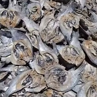 IKAN. ASIN. MUJAER. BELAH.1kg/1000gram.super.berkwalitas.bergizi.harga.promo.termurah